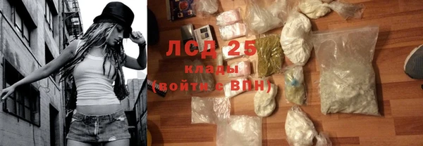 spice Богородицк