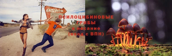 spice Богородицк