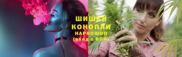 прущие крисы Белокуриха