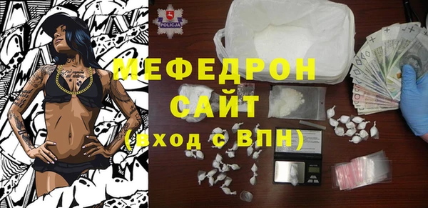 spice Богородицк