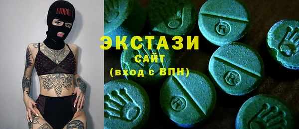 spice Богородицк