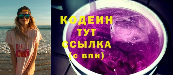 spice Богородицк