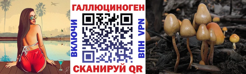 где продают наркотики  Валуйки  Псилоцибиновые грибы Psilocybine cubensis 